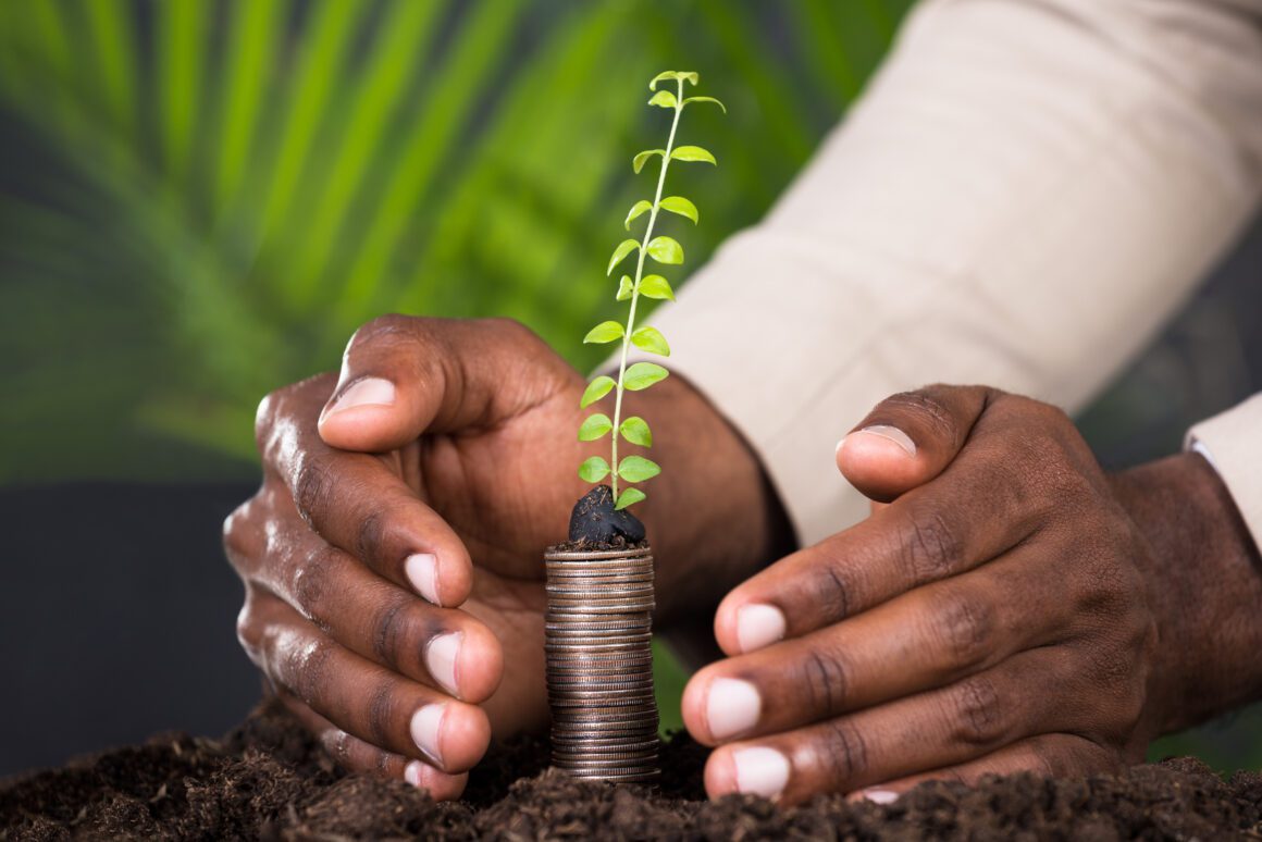 Close-up Of Person's Hand Protecting Sapling Hands protecting growing plant on coins.