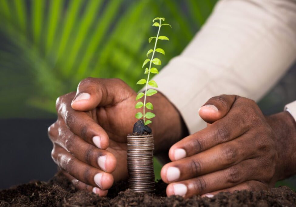 Close-up Of Person's Hand Protecting Sapling On Stacked Coins